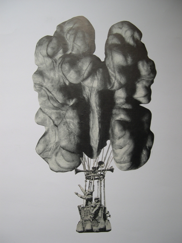 Walnut Balloon by Pieter Buijs