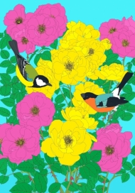 Bullfinch, Great Tit and Roses