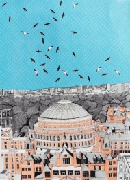 Rooftops at Royal Albert Hall