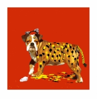 The Dog Who Wanted to be a Leopard