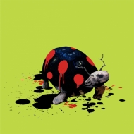 The Tortoise Who Wanted to be a Ladybird
