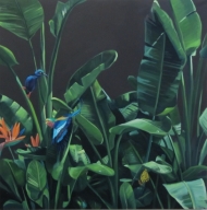 Into the jungle