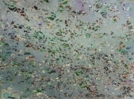 Brabble