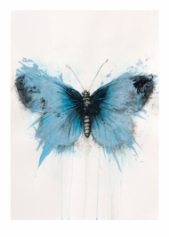 For a Day Butterfly