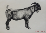 untitled (the end)