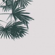 Criss Cross Palm