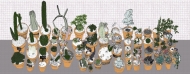 Narrow Pano Pots
