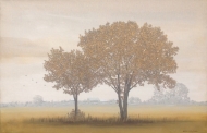 Landscape from Öland