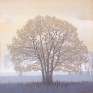 Tree from Vik