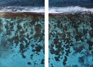 Cades Reef Diptych (large)