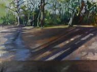 Late Afternoon Walk