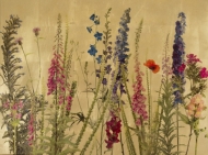 Pratum (Meadow) III