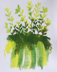 Sedum Rubrotinctum