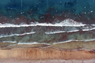Playa Shoreline