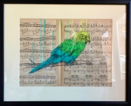 Parrot on Music Score