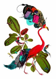 Raudbedur (Medium)