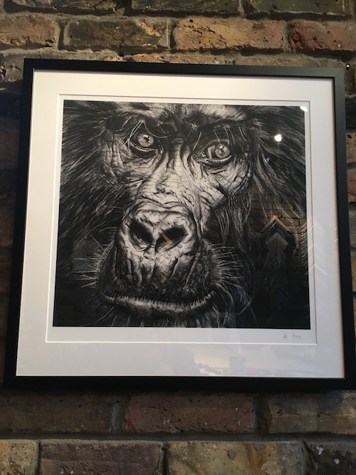 Framed Mountain Gorilla Print