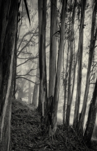 The Age of Reinvention