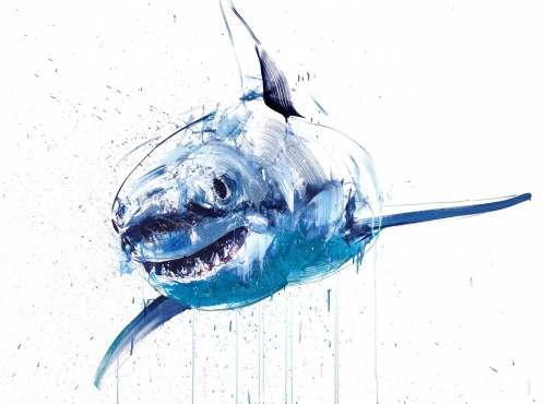 Dave White New Works | Drang Gallery