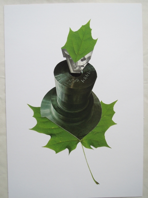 Leaf Project in Progress