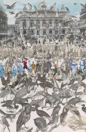 Birds - Sir Peter Blake