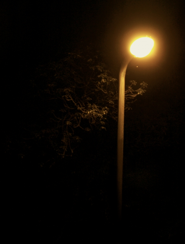 after hours 1: lamplight by Robin Austen