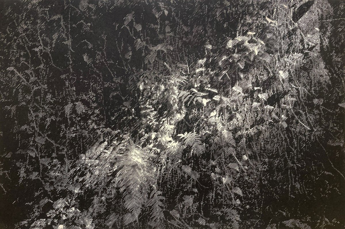 The Gleam Of Light Which Flashes Across Our Mind From Within by