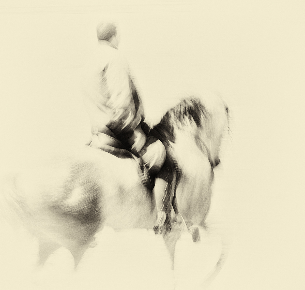 THE SPANISH RIDER by Andrew Lever | Buy Art Online | Rise Art