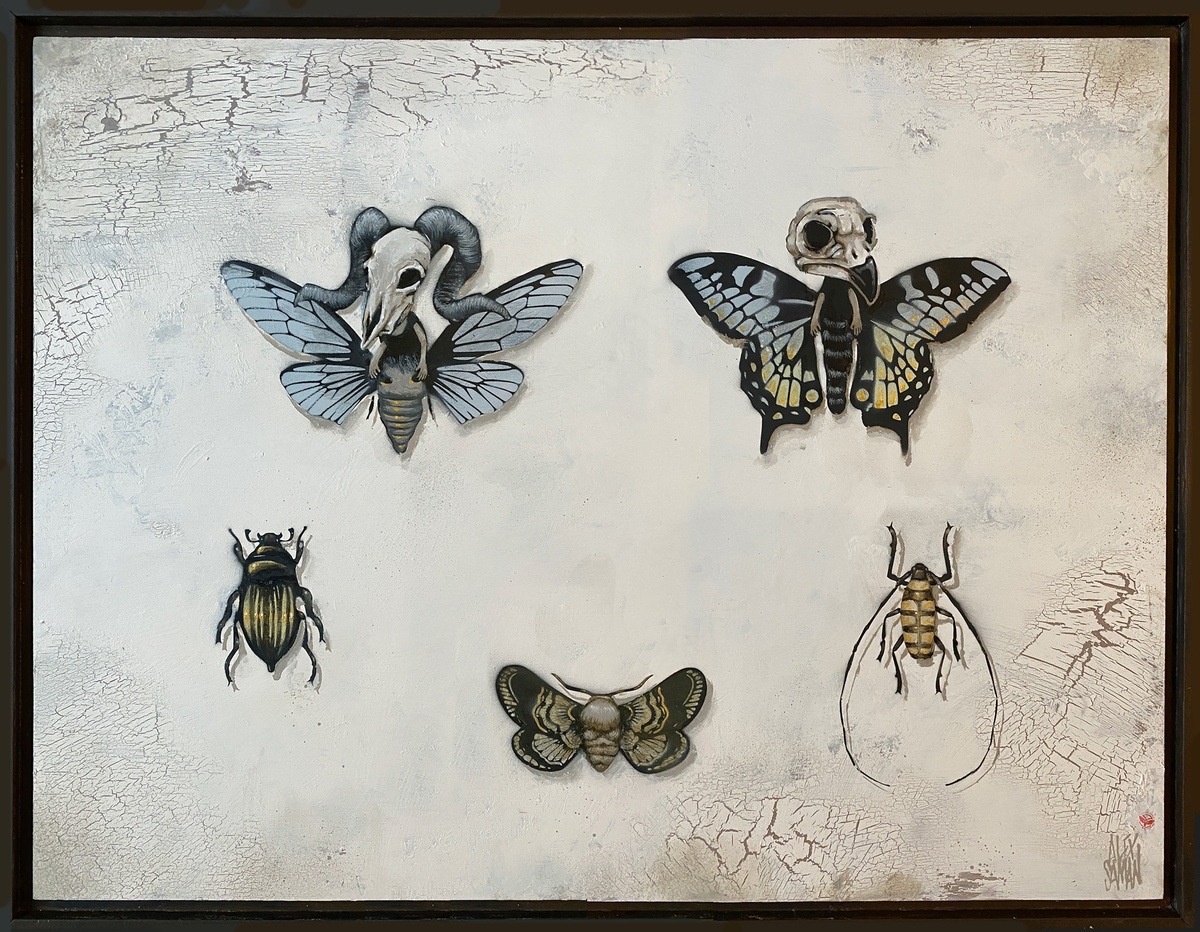 Tableau d'insectes II by Alex Saman | Buy Art Online | Rise Art