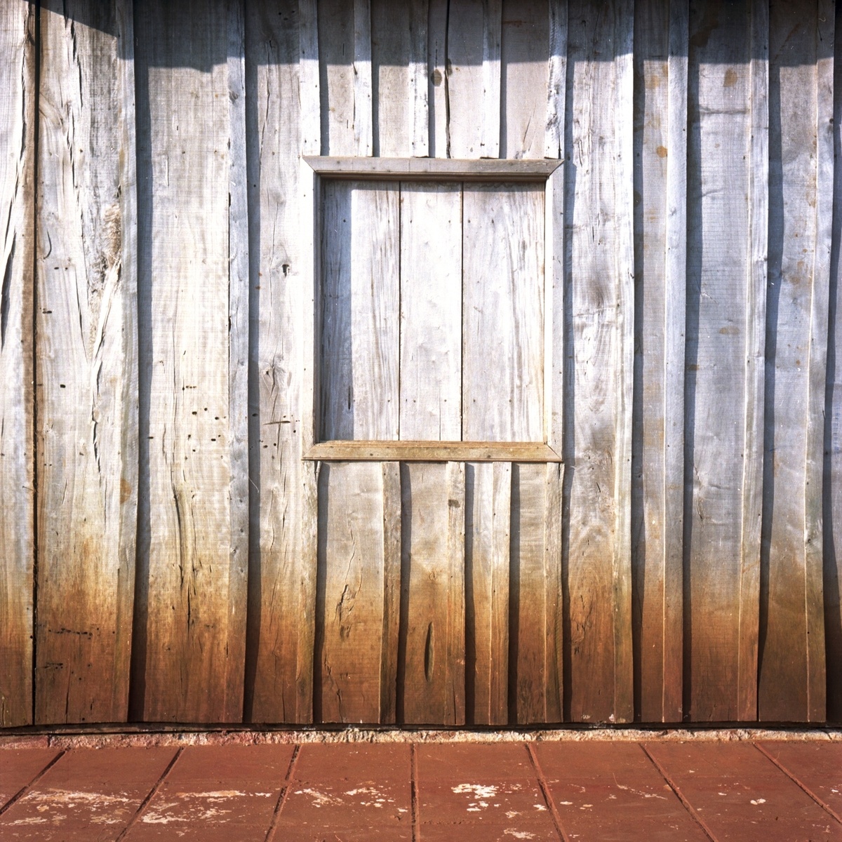 D by Tomas Cambas Buy Art Online Rise Art