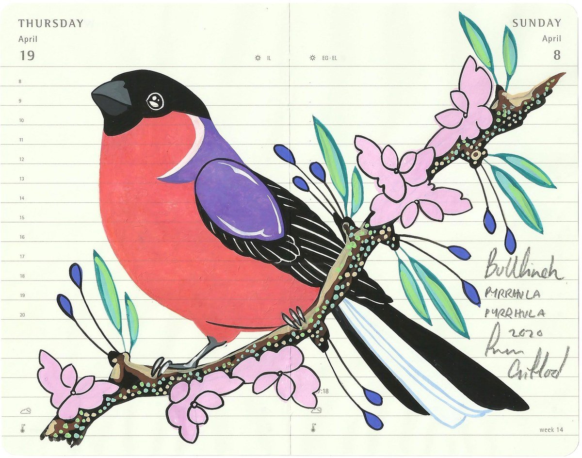 Bullfinch par Fran Giffard | Acheter de l'art en ligne | Rise Art