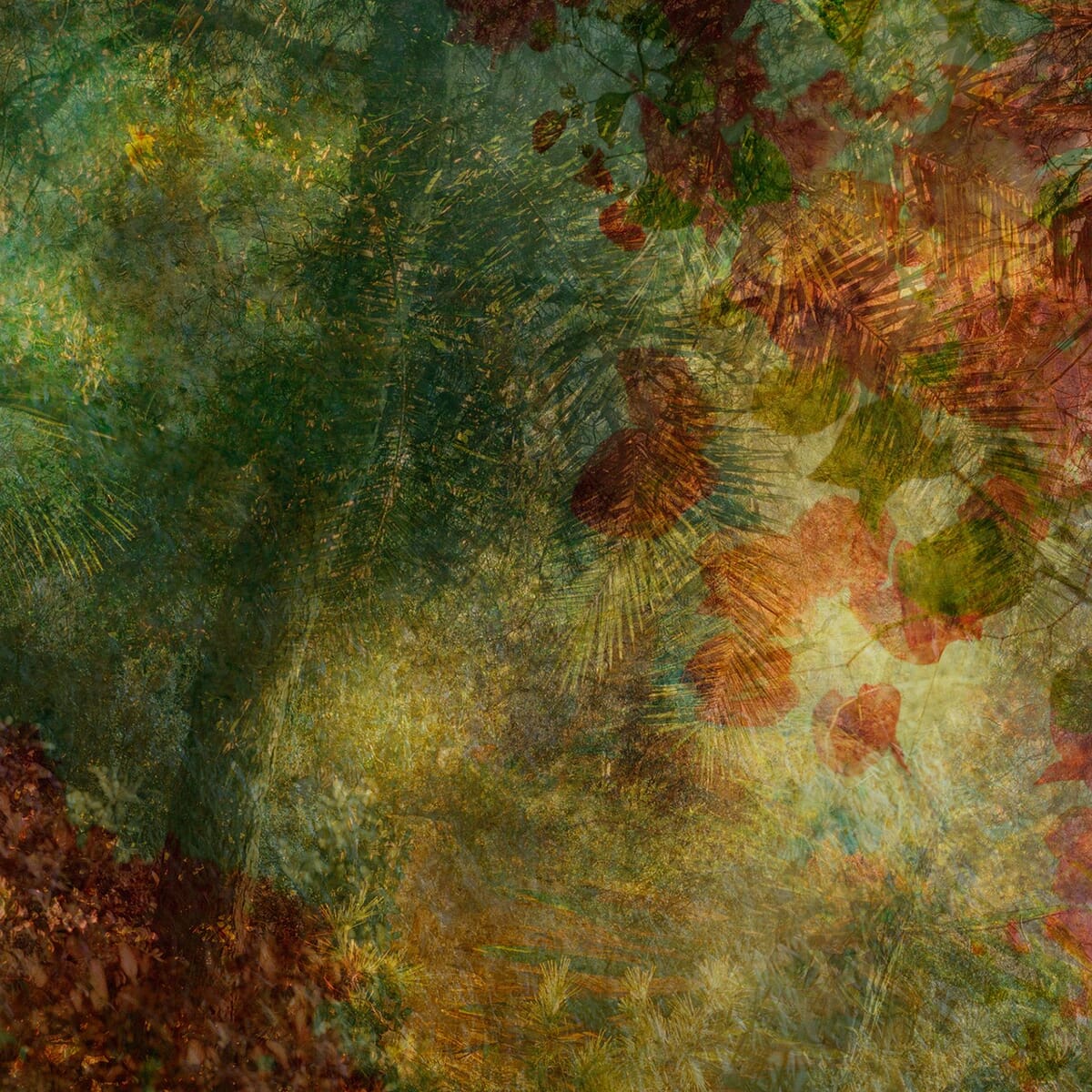 Reverie #3 by Andy Jon Morris | Buy Art Online | Rise Art