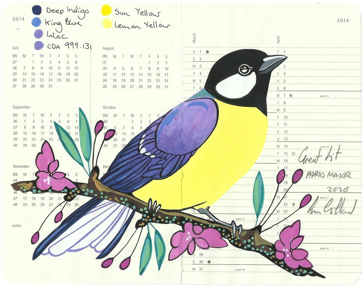 Great Tit par Fran Giffard | Acheter de l'art en ligne | Rise Art