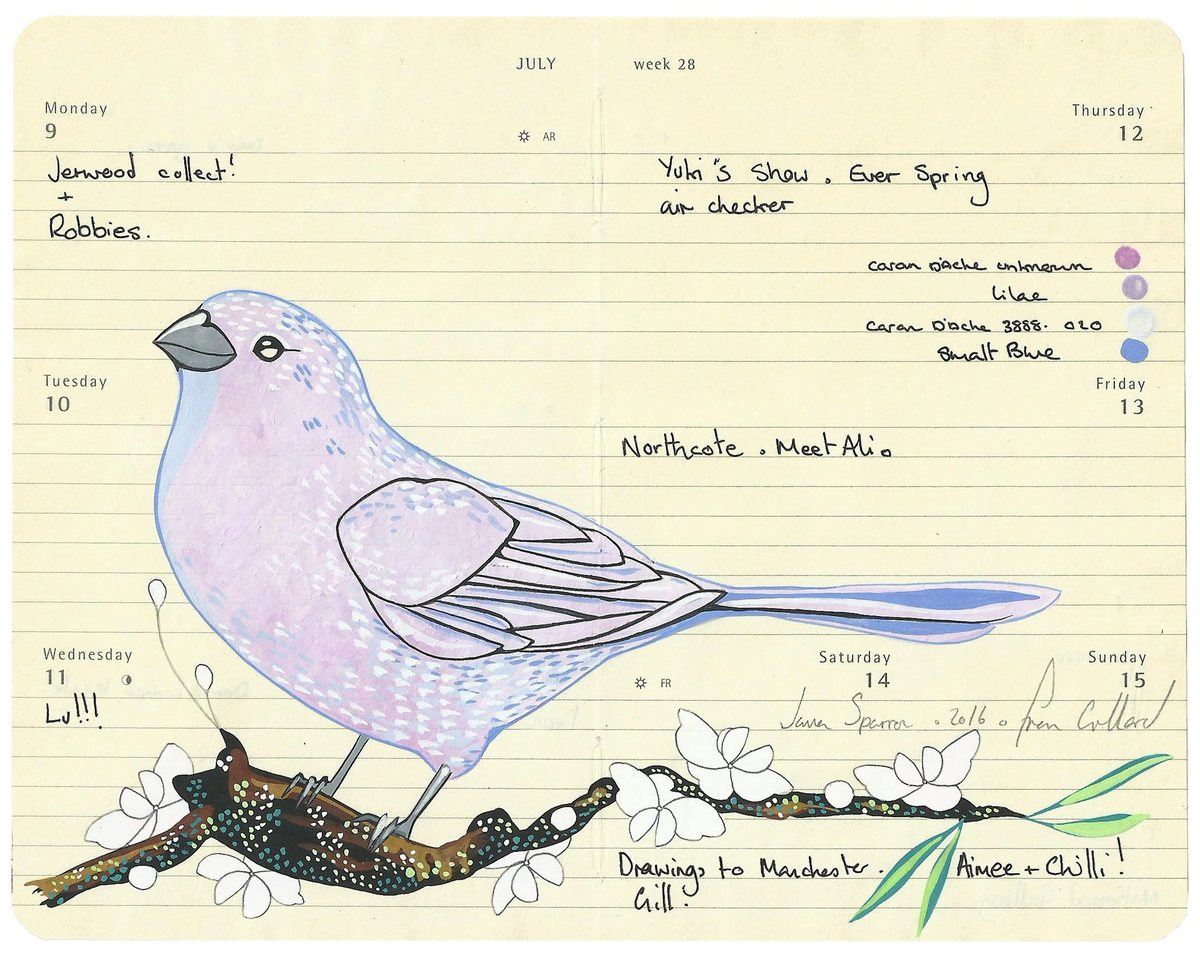 Java Sparrow von Fran Giffard | Kunst online kaufen | Rise Art
