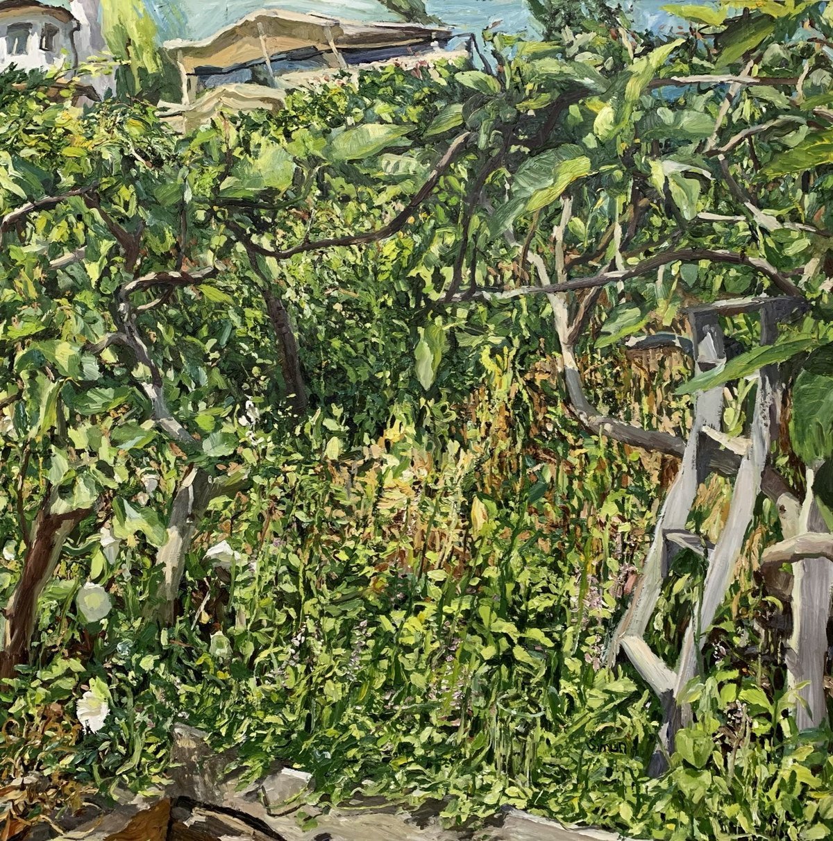 Fig trees par Simon Shawn Andrews Acheter de l'art en ligne Rise Art