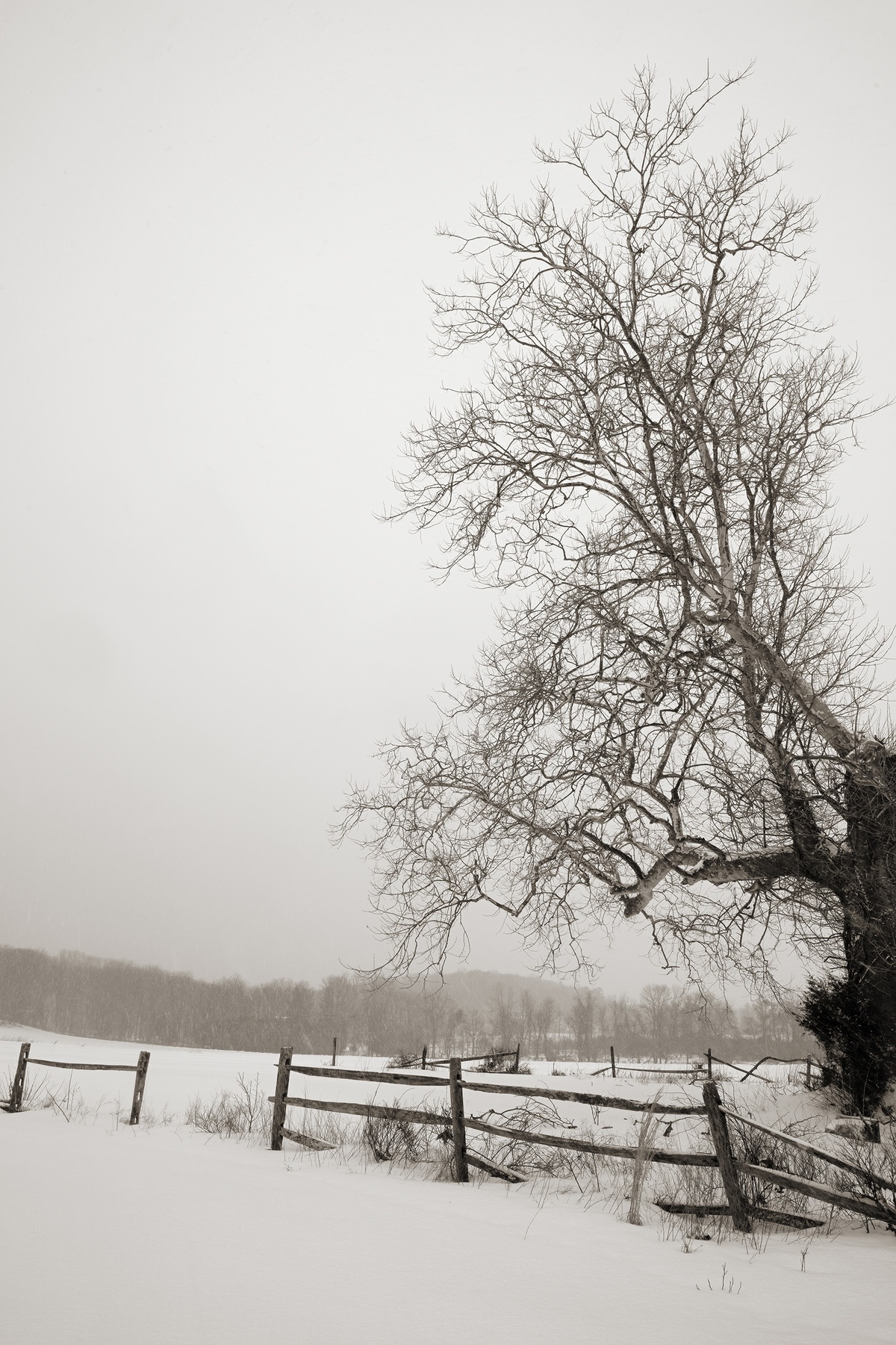 Incident on Phillips Mill Road by Geoffrey Ansel Agrons Buy Art