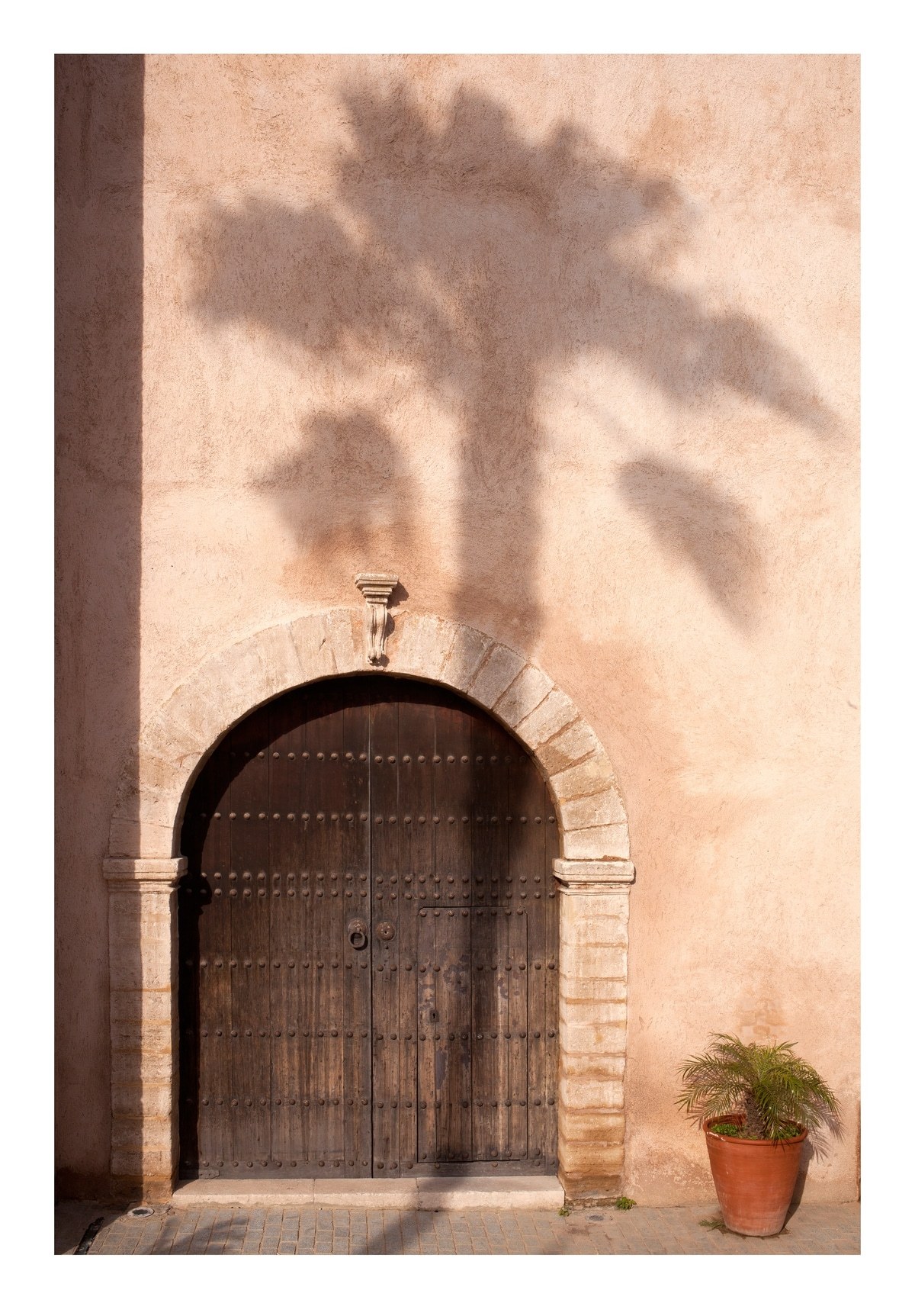 Palm Tree Shadow. Rabat. Morocco. 2024 by Ian Hoskin | Buy Art Online ...