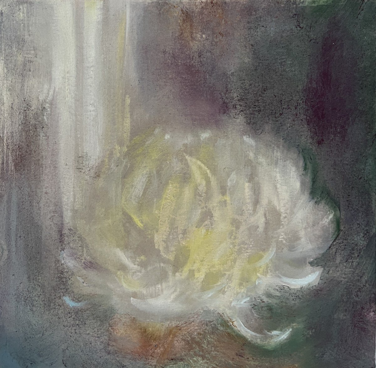 Chrysanthemum (March) by Peskett Buy Art Online Rise Art