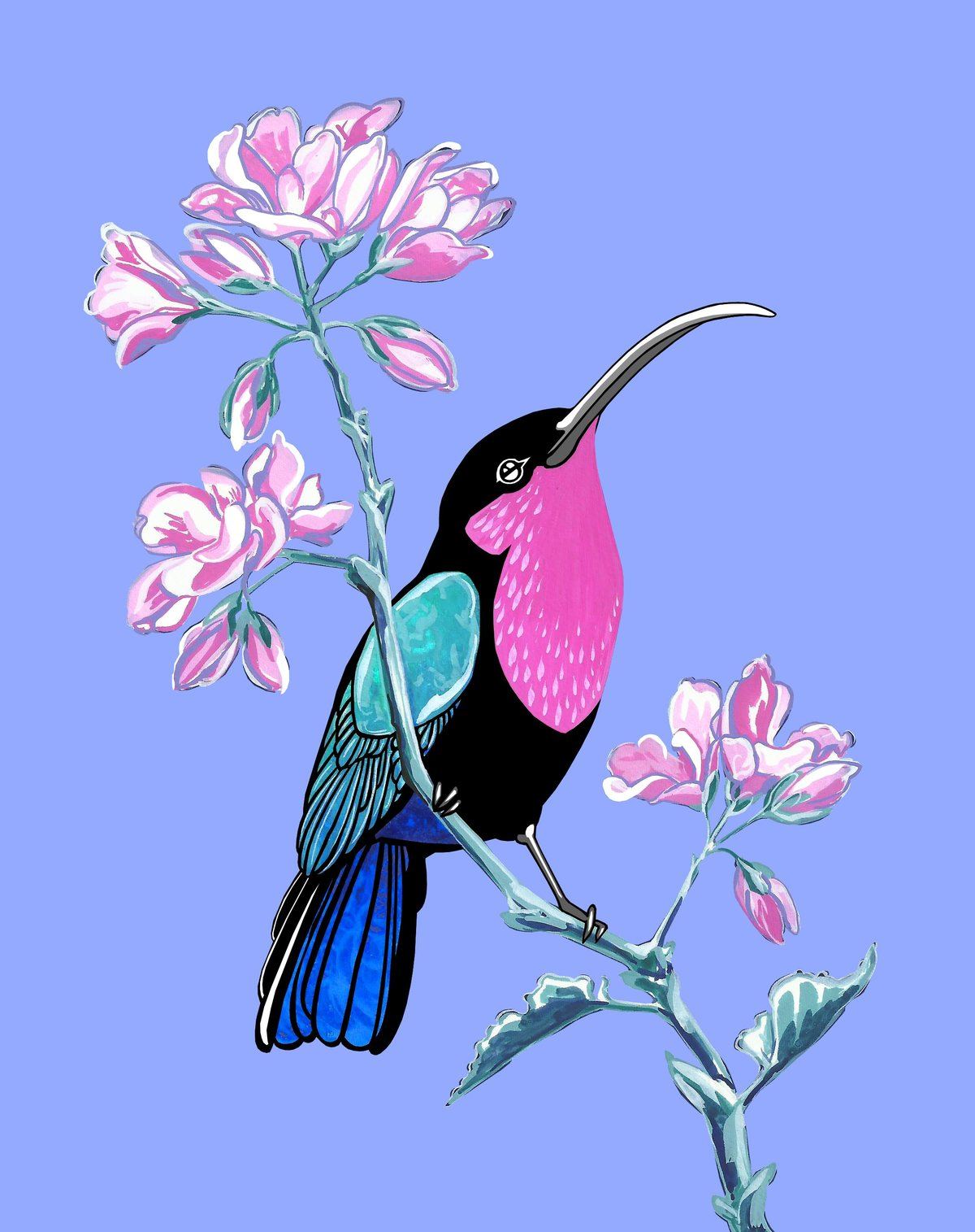 Purple Throated Carib and Geranium par Fran Giffard | Acheter de l'art ...
