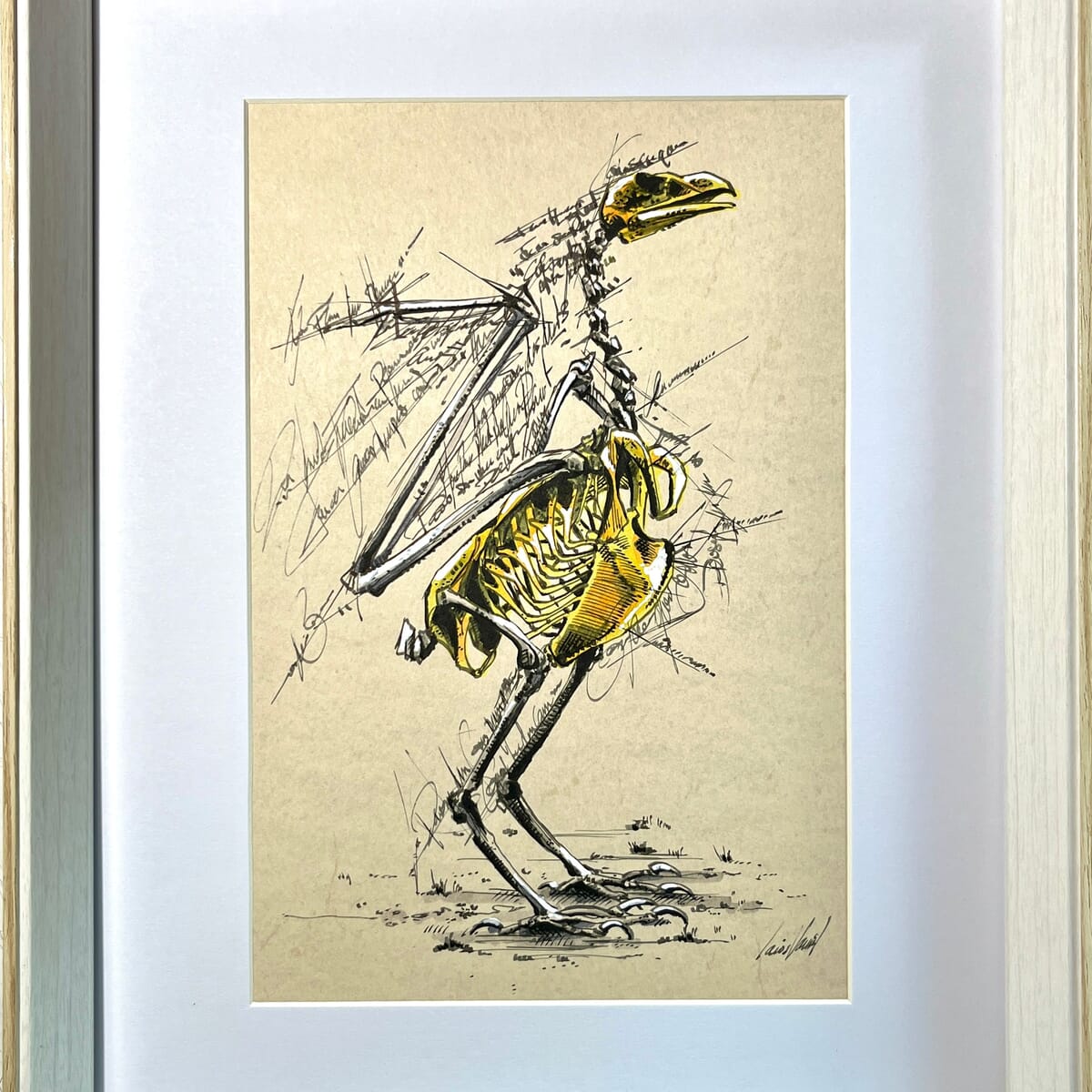 Vogelzeichnungen zum Kauf | Rise Art, image size:1200x1200