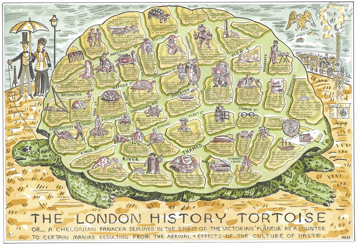 The London History Tortoise par Adam Dant | Acheter de l'art en ligne ...