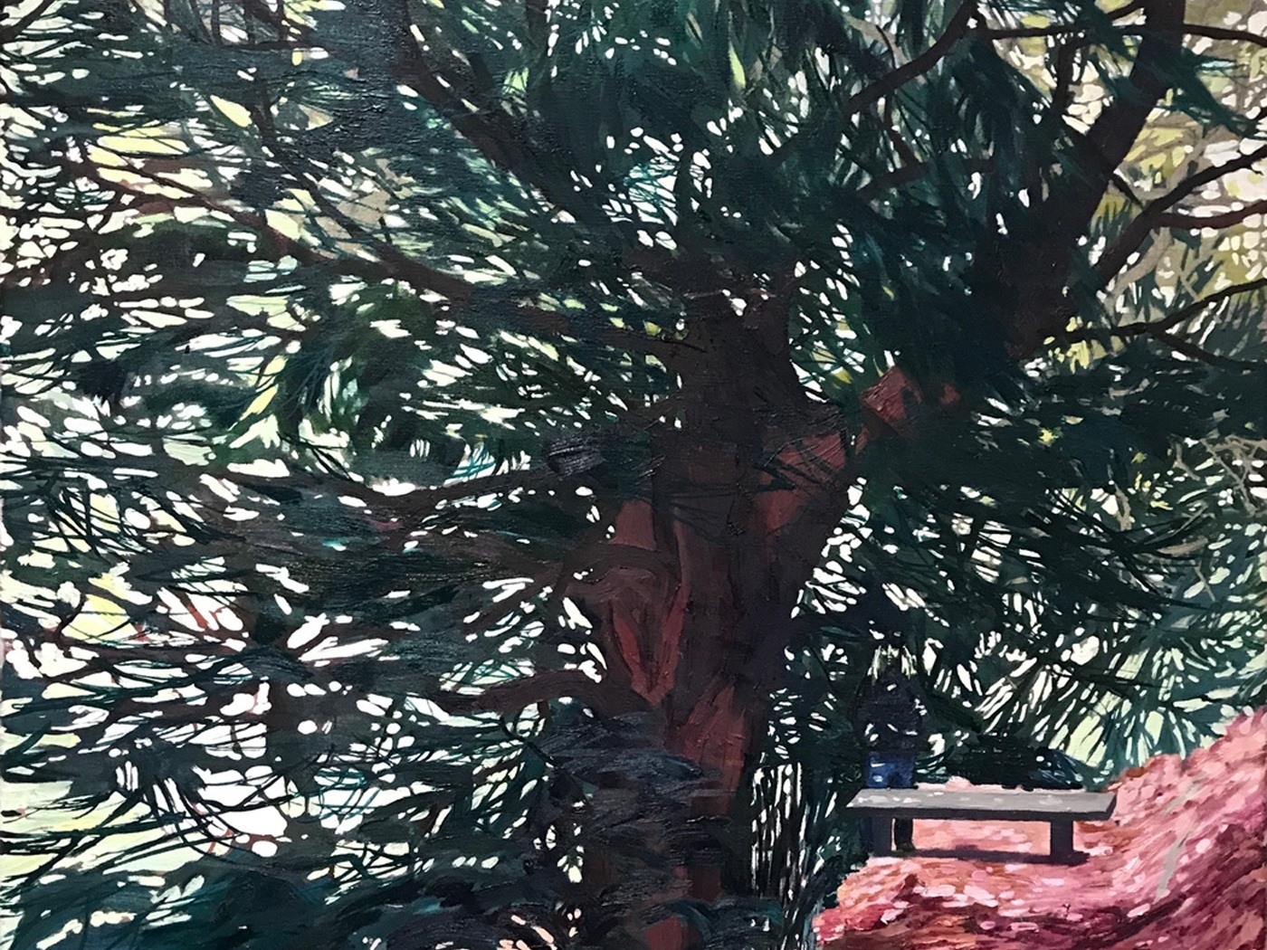 The Arborealists: Trees and Woodland of Exmoor
