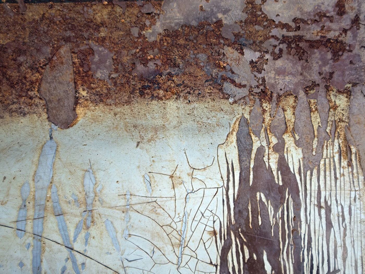 Royal Western Academy Artist Network Exhibition