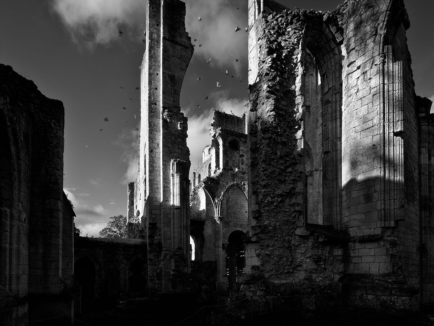 Architecture Interpreted