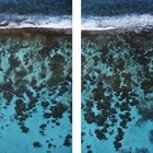 Cades Reef Diptych (Mounted on Acrylic)