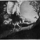 It's A Hard World For Little Things: Owl #4