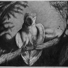 It's A Hard World For Little Things: Owl #3