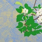 Apple Blossom Graphic Impression 4