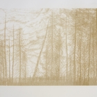 Wait here we will come for you