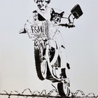 Dog Save the Queen (White)